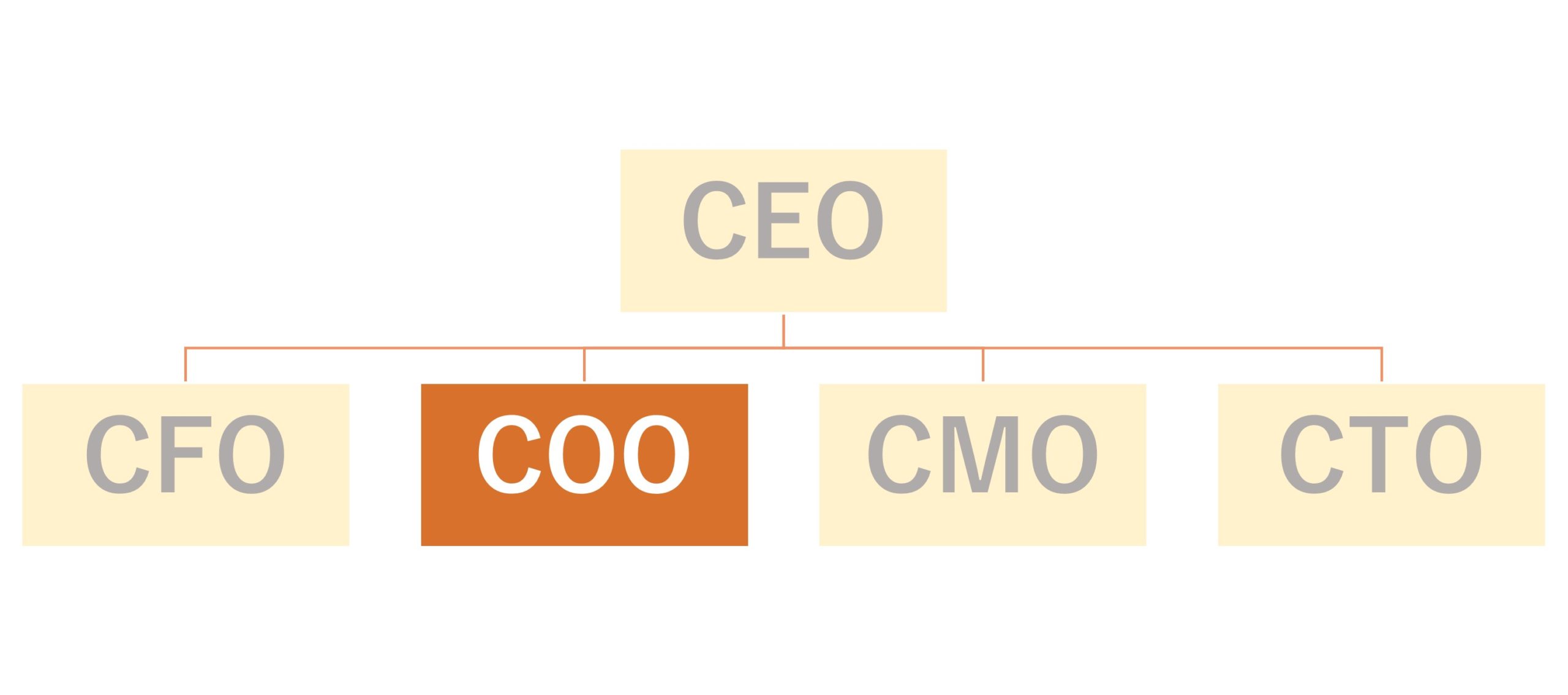 cooが存在する組織の例。COOの下にCFO、CTO、CMOらが付く場合もあり、会社によって異なる。